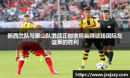 新西兰队与黑山队激战正酣谁将赢得这场国际友谊赛的胜利